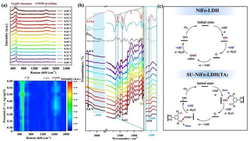 石大nature子刊 三聚酸修飾的亞尺寸鎳鐵 層狀雙氫氧化物納米片催化劑增強水氧化